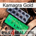 Kamagra Gold new04